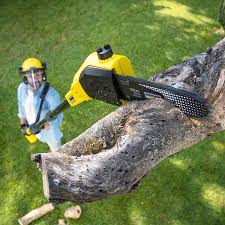 Best Pest Control for Lawns  in Alb, IA